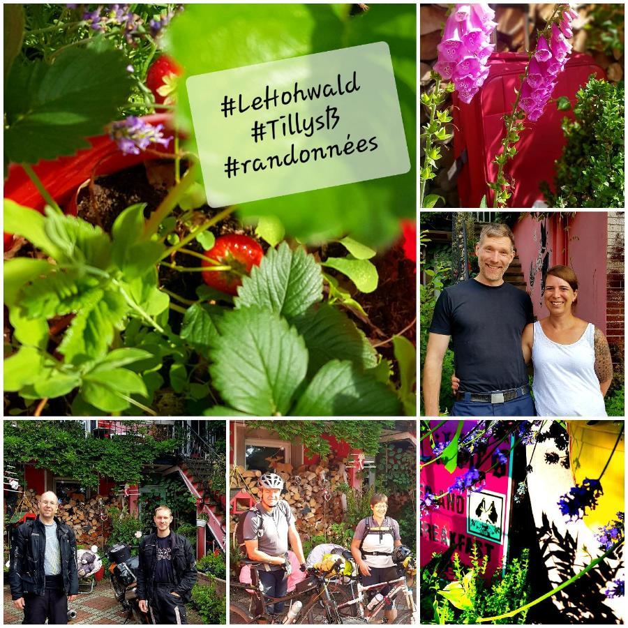 Tilly's And House Gasthof Le Hohwald