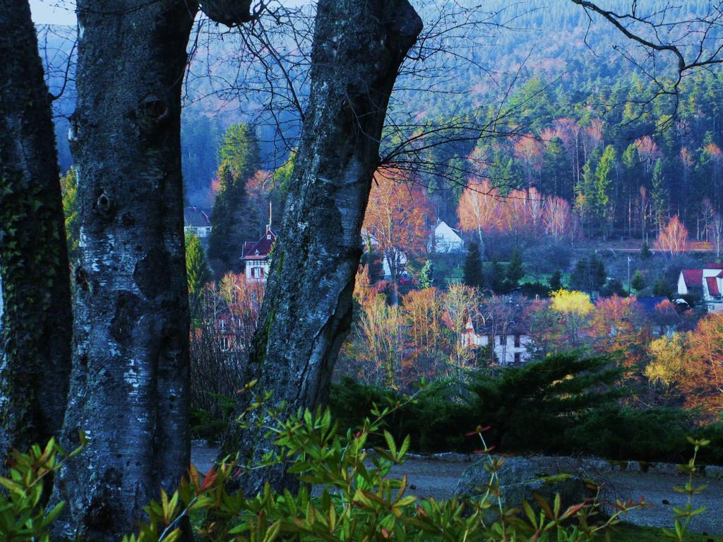 Guest house Tilly's And House Le Hohwald